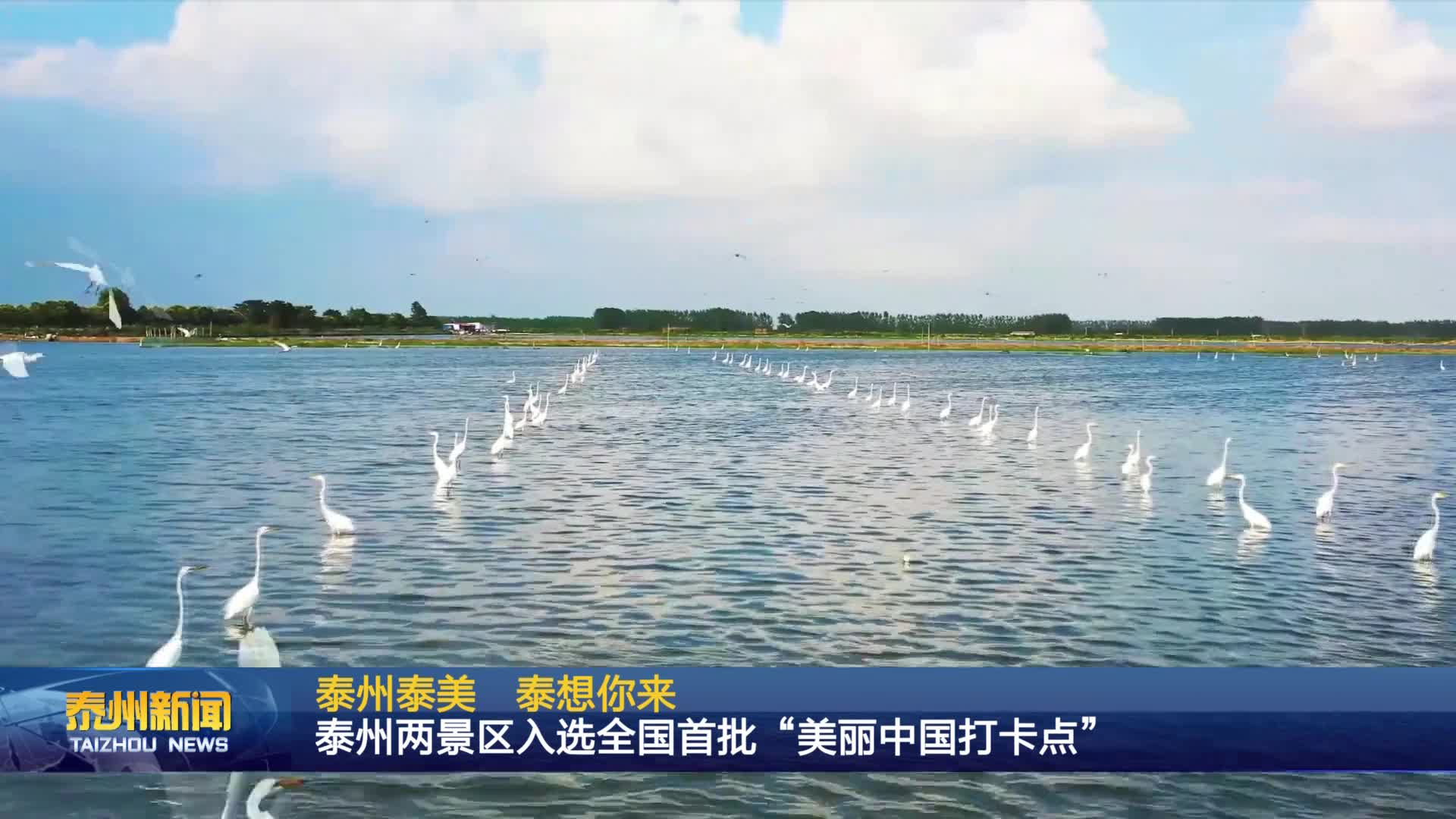 泰州泰美 泰想你来  泰州两景区入选全国首批“美丽中国打卡点”